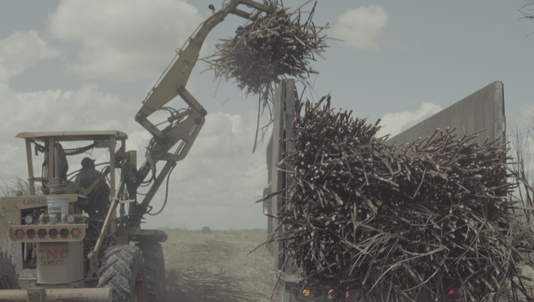 Screen Shot 2022-05-15 at 10.11.20 AM