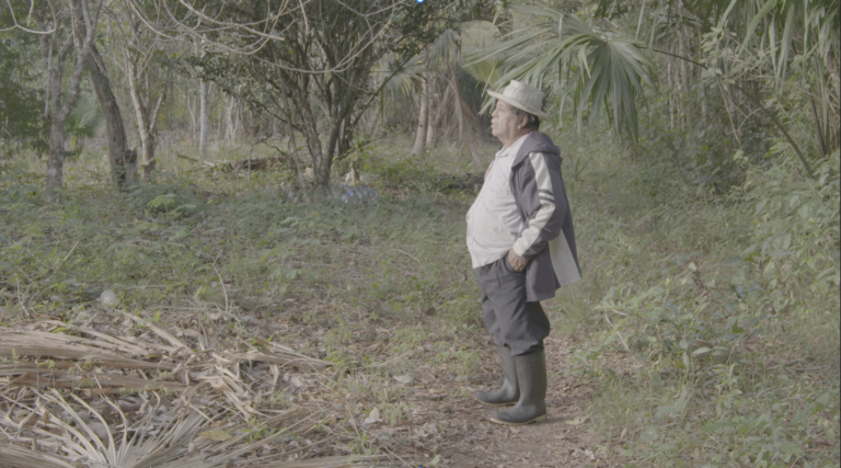 Screen Shot 2023-01-30 at 10.43.16 AM