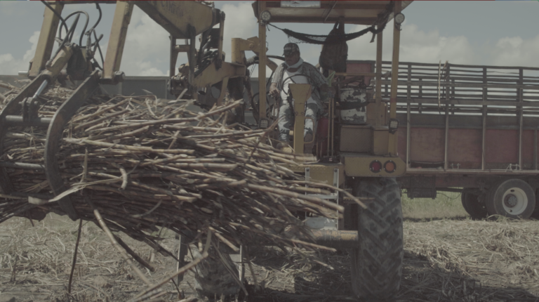 Screen Shot 2023-02-01 at 3.30.26 AM