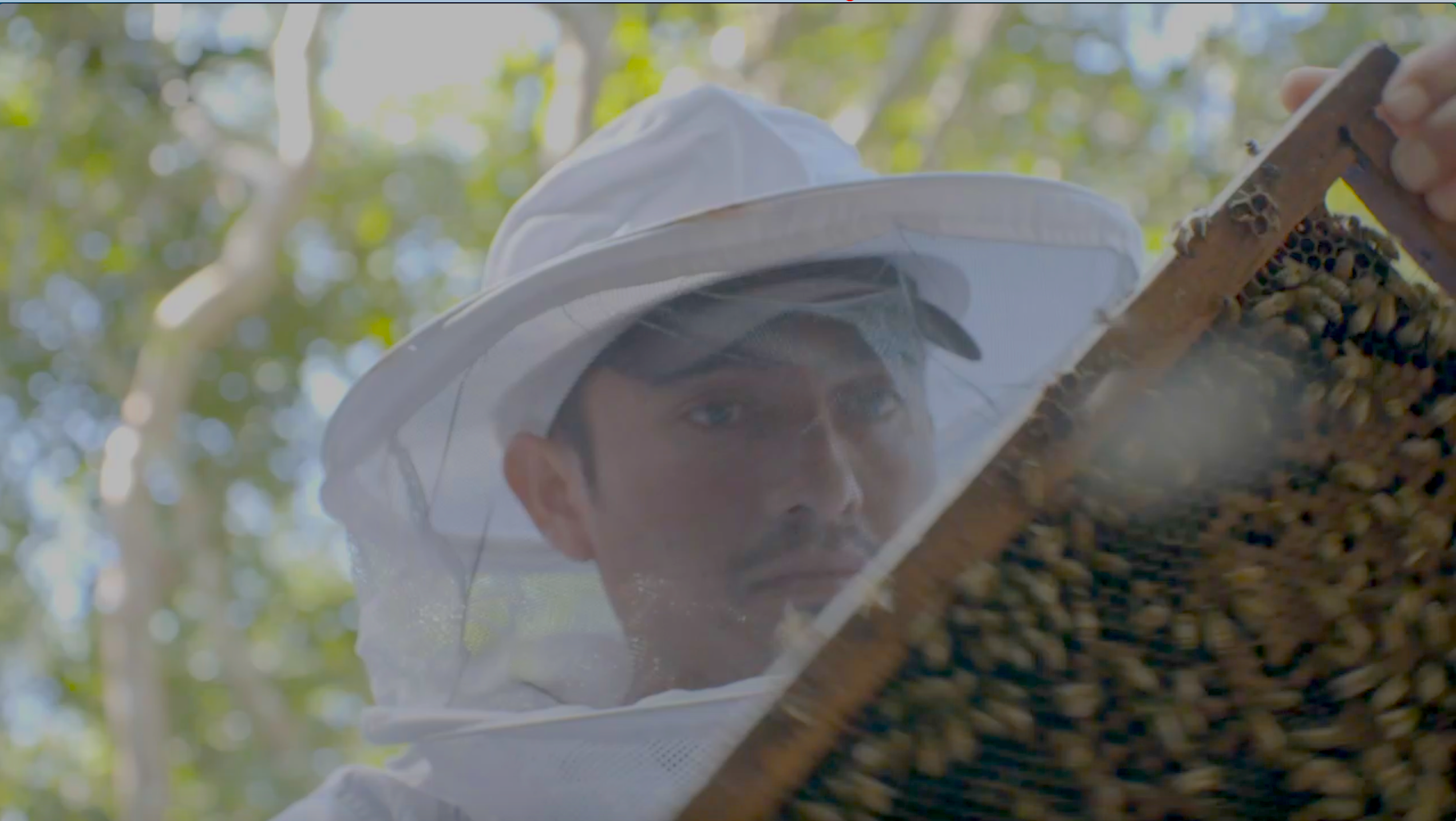 Still-Peninsula-sur-color-53