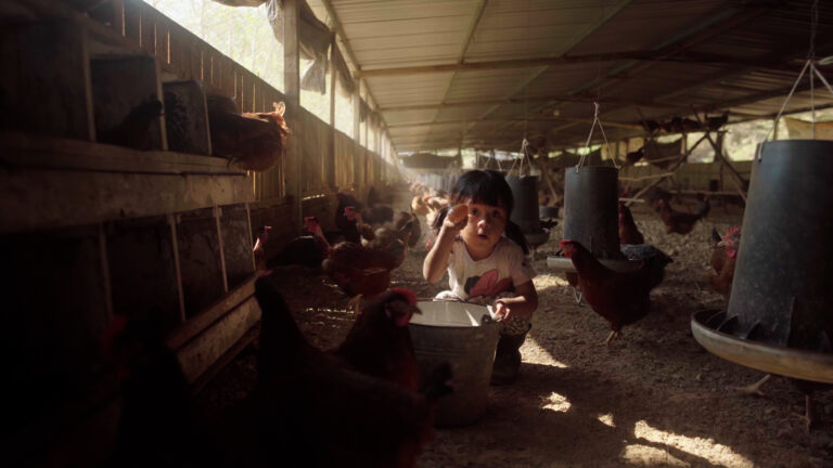 Still niña en granja (1)