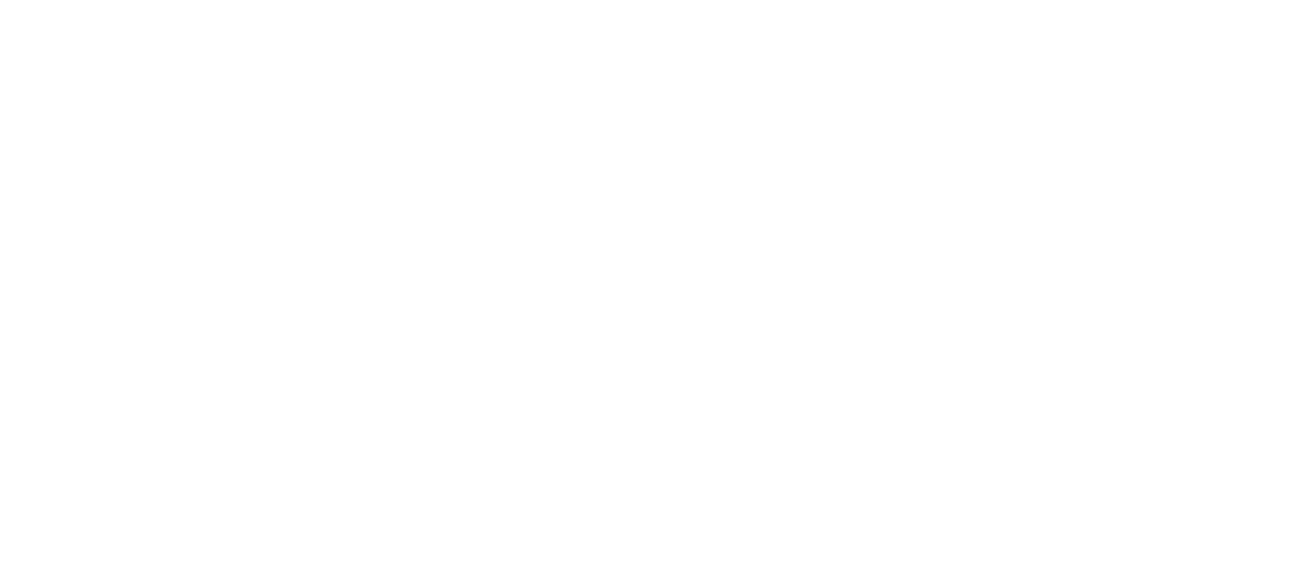 Selección Oficial — FIC Valores 2025